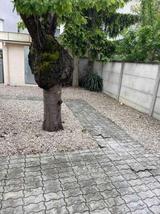 Ferienwohnung Studio Tout Confort, Au Pied De Toute Commodite, 2 Créteil Exterior foto